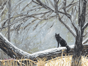 Red Fox in Black Phase by Karen T Hluchan