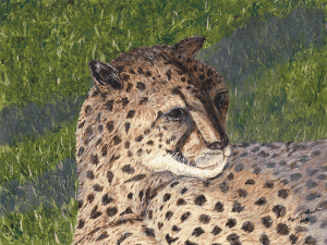 Shadow - Spier, South Africa by Karen T Hluchan