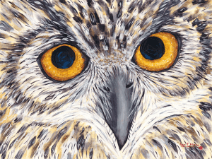Hootie - The Great Horned Owl by Karen T Hluchan