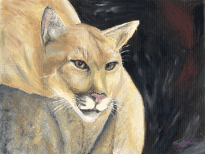 Mountain Lion in Repose by Karen T Hluchan