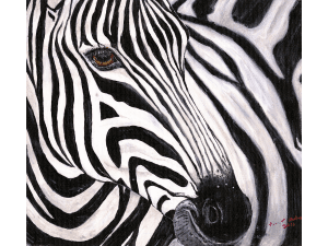 Zephyr - The Zebra by Karen T Hluchan